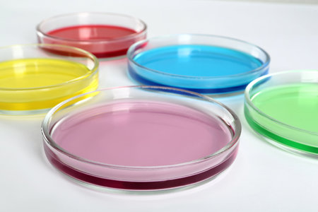 Petri dishes with colorful liquids on white background, closeupの写真素材