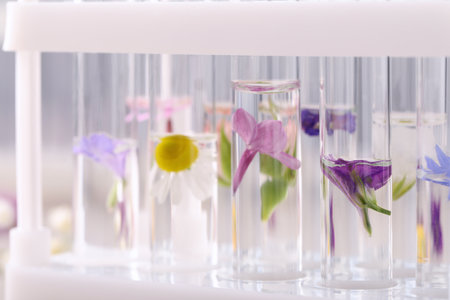Test tubes with different flowers, closeup. essential oil extractionの写真素材