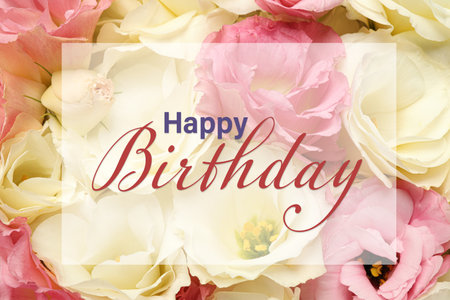 Happy Birthday! Beautiful eustoma flowers as background, closeupの写真素材