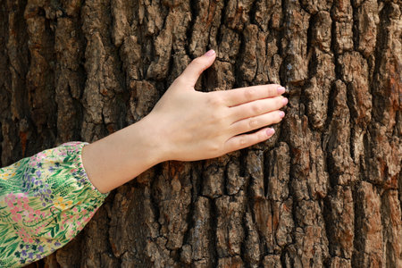 Young woman hugging tree trunk, closeup viewの写真素材