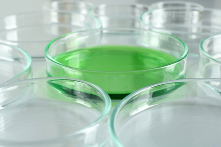 Petri dish with green liquid among empty ones on white table, closeupの写真素材