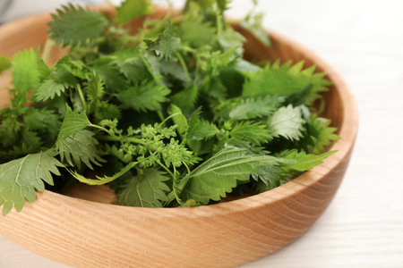 Wooden plate with fresh stinging nettle leaves on white table, closeupの写真素材