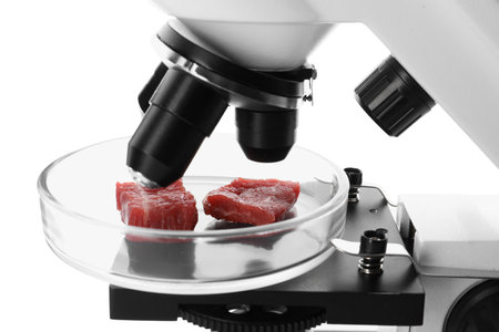 Petri dish with pieces of raw cultured meat under microscope on white background, closeup