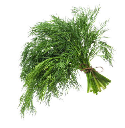 Bunch of fresh dill isolated on whiteの写真素材