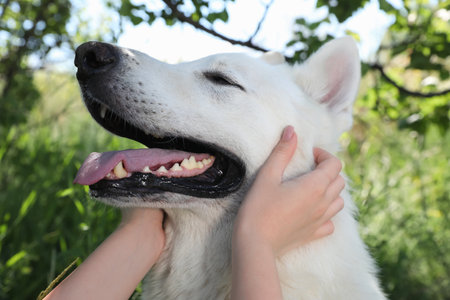 Young woman with her white Swiss Shepherd dog in park, closeup