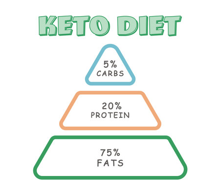 Food pyramid on white background, illustration. Keto dietの写真素材