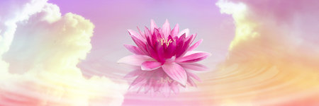 Floating beautiful lotus and reflection of sky with fluffy clouds on water, toned in pastel rainbow colors. Symbolic flower in Buddhismの写真素材