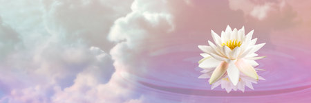 Floating beautiful lotus and reflection of sky with fluffy clouds on water, toned in pastel rainbow colors. Symbolic flower in Buddhismの写真素材