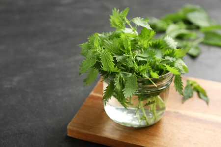 Fresh stinging nettles in jar on black table, closeup. Space for textの写真素材