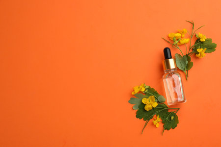 Bottle of natural celandine oil and flowers on orange background, flat lay. Space for textの写真素材