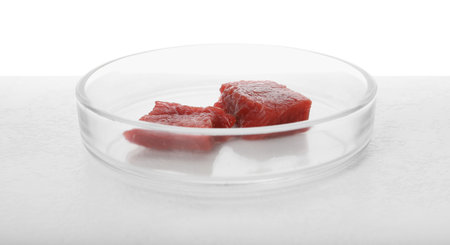 Petri dish with pieces of raw cultured meat on table against white backgroundの写真素材