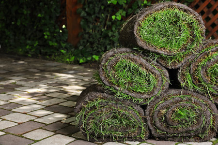 Rolls of sod with grass on backyardの写真素材
