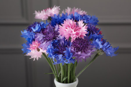 Bouquet of beautiful cornflowers in vase against gray wall, closeupの写真素材