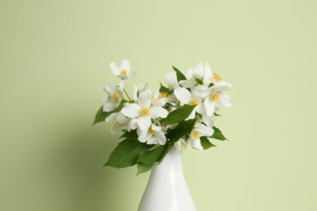 Bouquet of beautiful jasmine flowers on light green background, closeupの写真素材