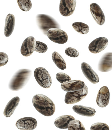 Many chia grains falling on white background. Vegan dietの写真素材