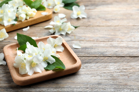 Plate with beautiful jasmine flowers on wooden table. Space for textの写真素材