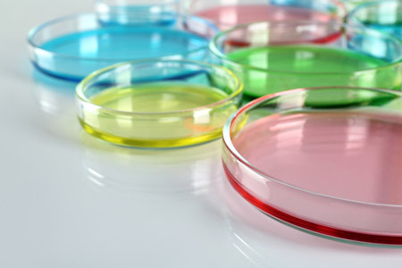 Petri dishes with colorful liquids on white table, closeupの写真素材