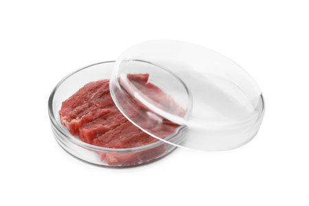Petri dish with pieces of raw cultured meat on white backgroundの写真素材