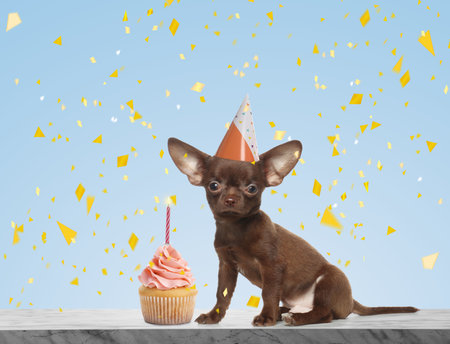 Cute dog with party hat and delicious birthday cupcake on marble table against light blue backgroundの写真素材