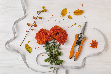 Flat lay composition with secateurs, ribbon and Chrysanthemum flowers on white wooden tableの写真素材