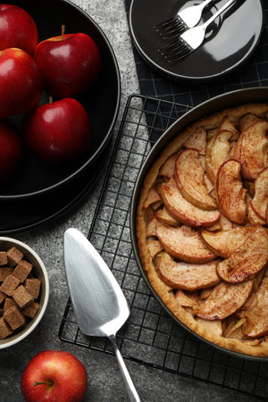 Delicious apple pie and ingredients on gray table, flat layの写真素材
