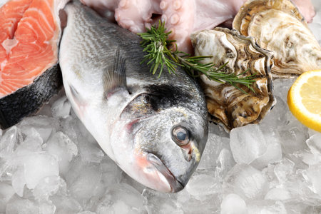 Fresh dorado fish, salmon, octopus and oysters on ice, closeupの写真素材
