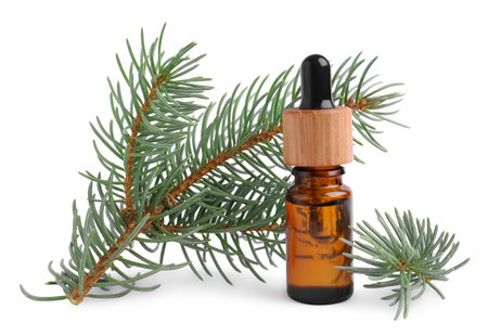 Bottle of pine essential oil and tree branch on white backgroundの写真素材