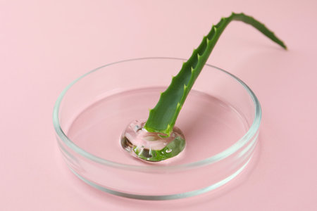 Petri dish with aloe plant and cosmetic product on pink backgroundの写真素材