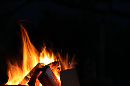 Beautiful bright bonfire with burning wood outdoors at night, space for textの写真素材