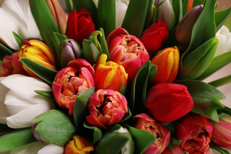 Beautiful bouquet of colorful tulip flowers, closeupの写真素材