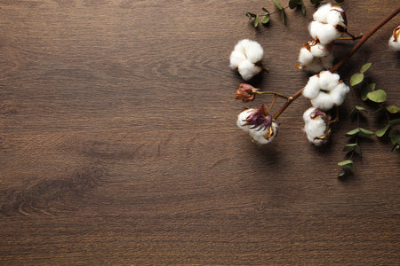 Dry cotton branch with fluffy flowers and leaves on wooden table, flat lay. Space for textの写真素材