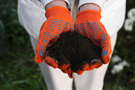 Woman in gardening gloves holding pile of soil outdoors, closeupの写真素材