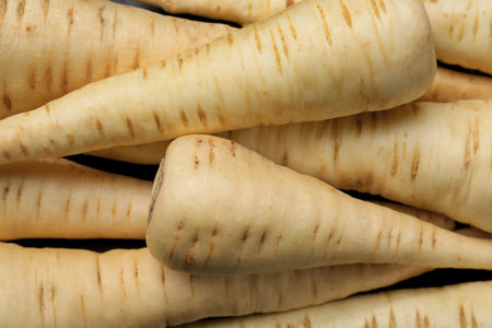 Heap of delicious fresh ripe parsnips as background, top viewの写真素材