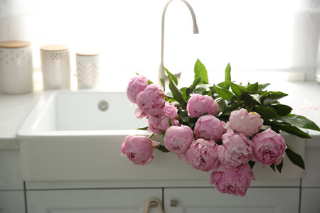 Bouquet of beautiful pink peonies in kitchen sinkの写真素材
