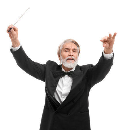 Professional conductor with baton on white backgroundの写真素材