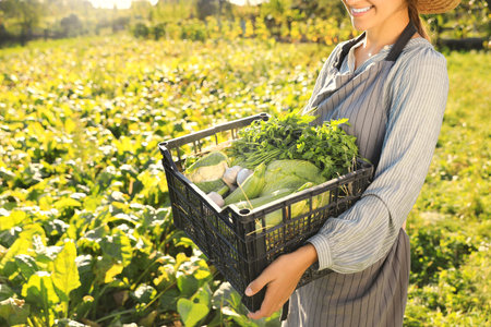 Woman with crate of different fresh ripe vegetables on farm, closeupの写真素材