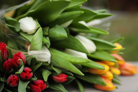 Beautiful bouquets of colorful tulips outdoors, closeupの写真素材