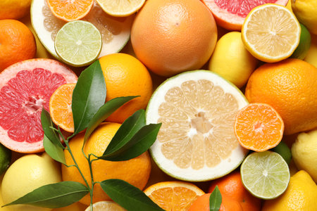 Different ripe citrus fruits with green leaves as background, top viewの写真素材