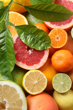 Different ripe citrus fruits with green leaves as background, top viewの写真素材