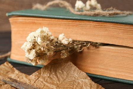 Book with flowers as bookmark on table, closeupの写真素材