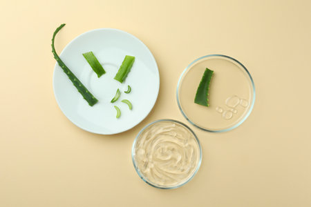 Flat lay composition with Petri dishes and aloe vera on beige backgroundの写真素材