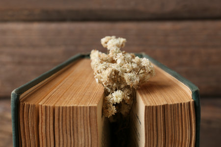 Book with flowers as bookmark on wooden background, closeupの写真素材