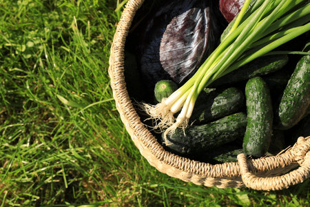 Tasty vegetables in wicker basket on green grass, top view. Space for textの写真素材