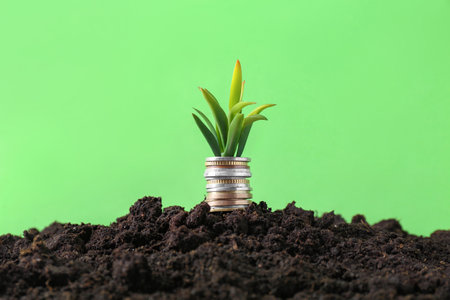 Stack of coins and green plant on soil against blurred background. Profit conceptの写真素材