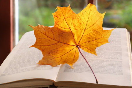 Book with autumn leaf as bookmark, closeupの写真素材