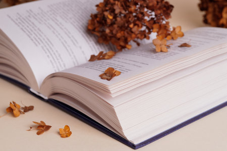 Dried hortensia flowers and book on beige table, closeupの写真素材