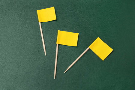 Small yellow paper flags on green background, flat lay