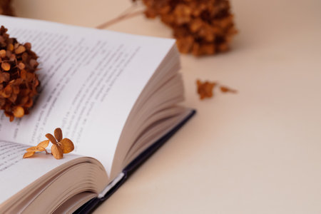 Dried hortensia flowers and book on beige table. Space for textの写真素材