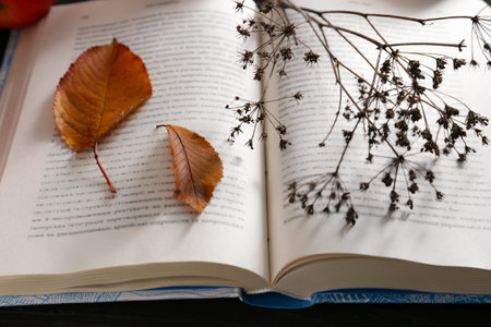Book with dried flower and autumn leaves as bookmark, closeup