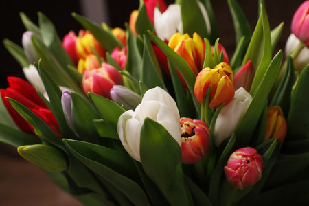 Beautiful bouquet of colorful tulip flowers, closeupの写真素材